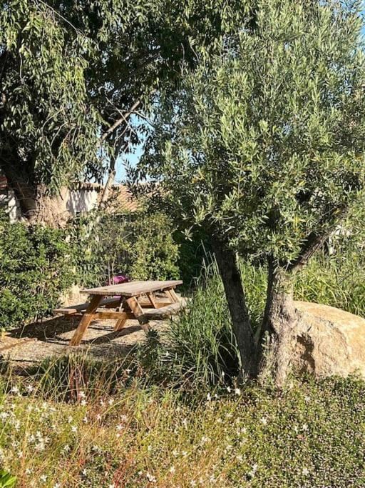 Au Pied Des Alpilles Villa 3 Chambres Saint-Remy-de-Provence Exterior photo